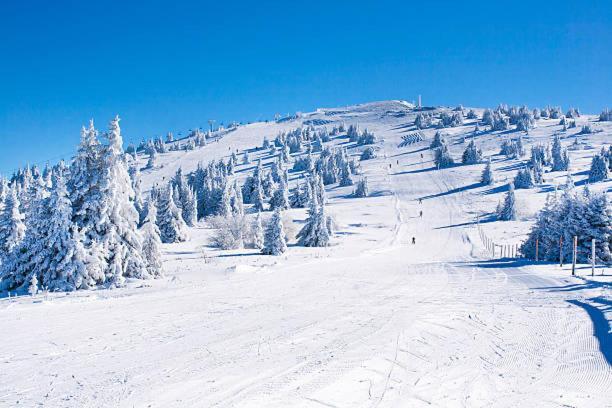 Vista Kopaonik Milmari Studio P22 Екстериор снимка